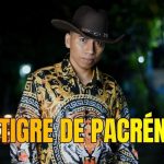 el patrón machetero vip